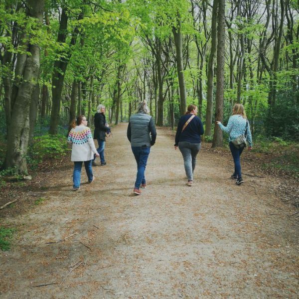A group netwalking in Tring Park