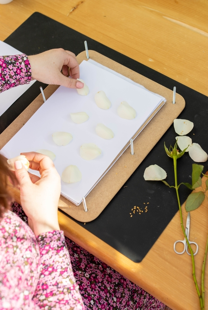 inbound2679740651470685279