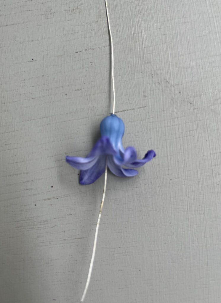 threading hyacinth petal on wire