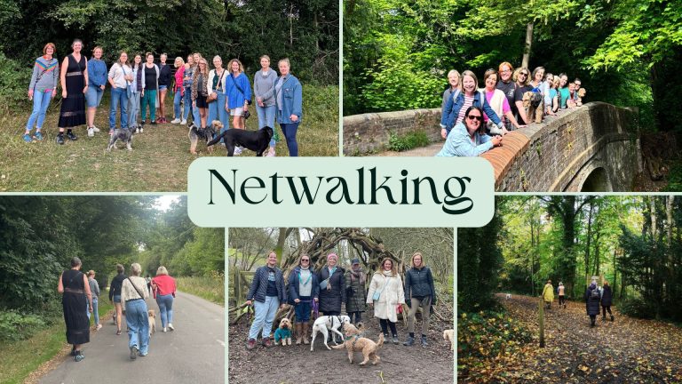Netwalking 2026 768x432